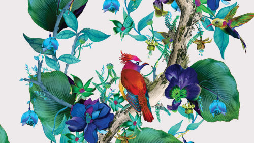 Rain Forest W7026-01